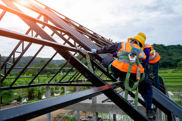 Best Roof Replacement Cost  in Edwardsville, KS