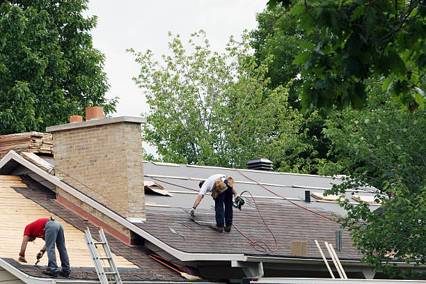 Roof Gutter Cleaning in Edwardsville, KS