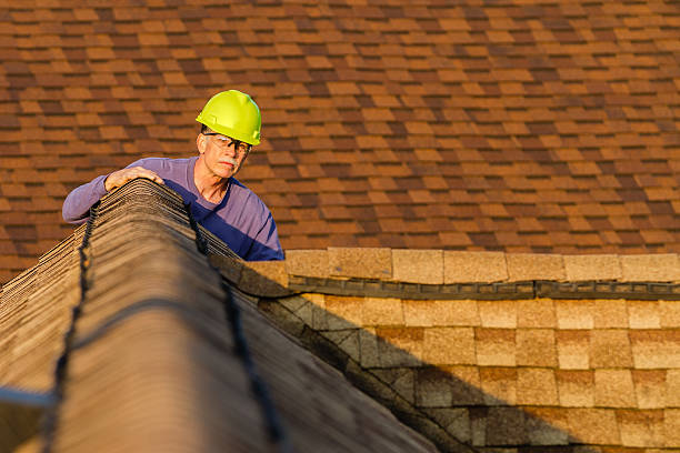 Best Local Roofing Companies  in Edwardsville, KS